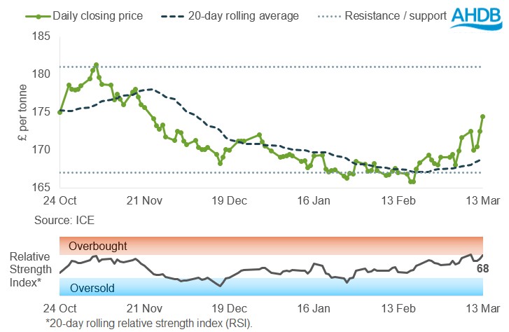 Line graph of UK feed wheat futures May-26 prices over the past six months.